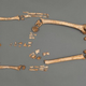 Illustration for article titled A Religious Mystery Is Found Buried At Jamestown